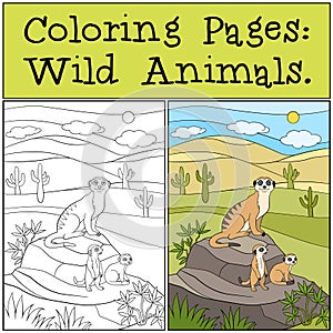 Coloring Pages: Wild Animals. Mother meerkat with her babies.