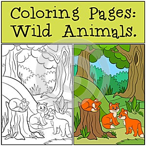 Coloring Pages: Wild animals. Three little cute baby foxes in the forest.