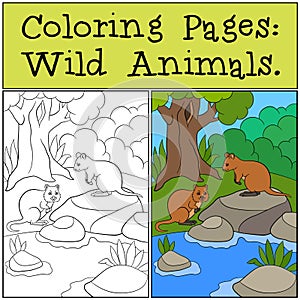 Coloring Pages: Wild Animals. Two quokkas in the forest