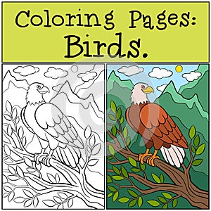 Coloring Pages: Wild Birds. Cute bold eagle sits and smiles.