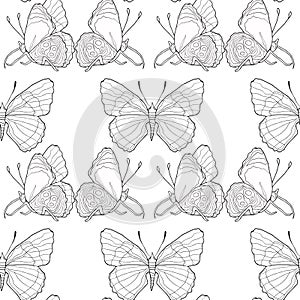 Coloring seamless pattern Diaethria clymena Butterfly. vector il photo