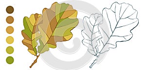 Coloring sheet with autumn oak leaves and color palette