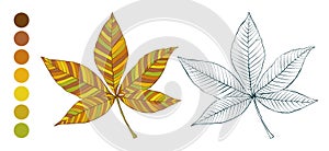 Coloring sheet with yellow autumn chestnut leaf