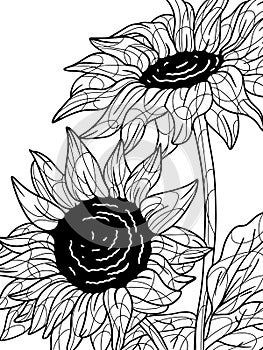 Coloring sunflower, plant. Flower outline. Page outline of cartoon. Zen-tangle style. Hand draw