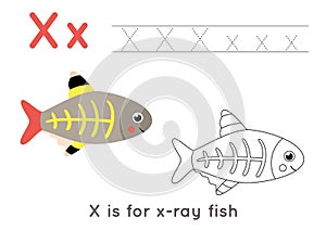 Coloring and tracing page with letter X and cute cartoon x ray fish.