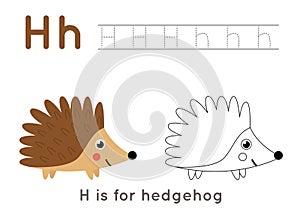 Coloring and tracing page with letter H and cute cartoon hedgehog.