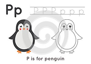 Coloring and tracing page with letter P and cute cartoon penguin.