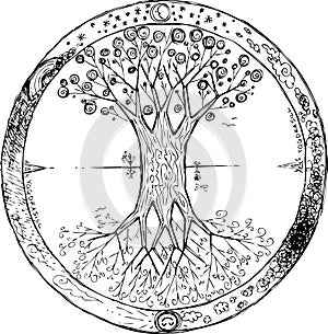 Coloring Yggdrasil: the celtic tree of life vector