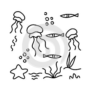 Colorings. Underwater inhabitants and algae, coloring book. Jellyfish and plants. Doodle of marine animals and plants isolated on