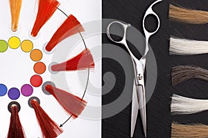 Coloristic circle. Hairdresser Accessories