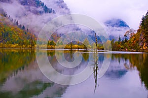 The colorized grove and lakes