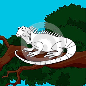 Colorless cartoon iguana on branch on colorful background. Template coloring book of fun lizard for kids. Coloring page