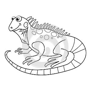 Colorless cartoon Iguana. Coloring pages. Template page for coloring book of funny lizard or salamander for kids. Practice