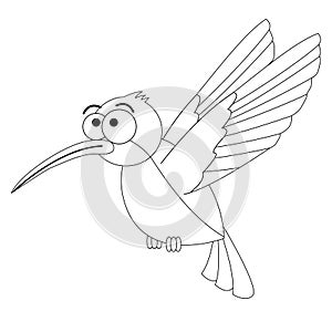 Colorless funny cartoon hummingbird.