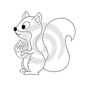 Colorless funny cartoon squirrel with nut in his hand. Vector i