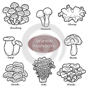 Colorless set of japanese mushrooms