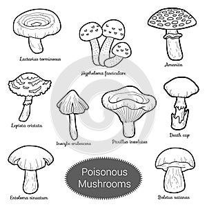 Colorless set of poisonous mushrooms