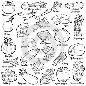 Colorless set with vegetables, vector cartoon stickers