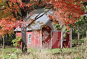 Colors of autumn. 