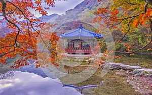 Colors of Autumn at Naejangsan South Korea