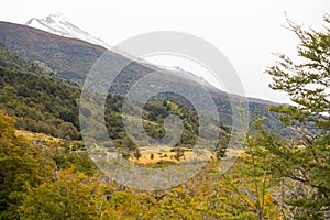 Colors of the autumn natural landscape of Chilean Patagonia between Puerto Natales and the Torres del Paine National Park, Chile