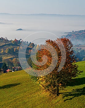 Barvy podzimní venkovské krajiny kopců na Slovensku, Podpoľanie, Hriňová.