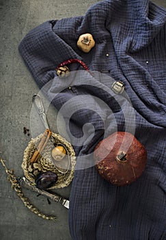 Colors of autumn. Still life with dried fruits.