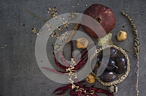 Colors of autumn. Still life with dried fruits and flowers.