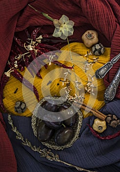 Colors of autumn. Still life with dried fruits and flowers.