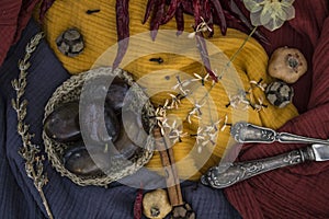 Colors of autumn. Still life with dried fruits and flowers.