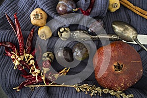 Colors of autumn. Still life with fruits.