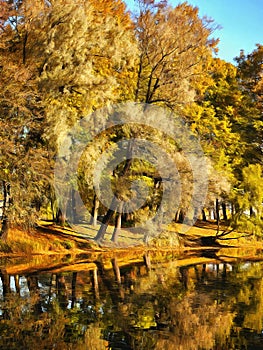 Colors of autumn - trees and river