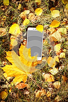 Colors of Fall. Black phone with a place for your logo