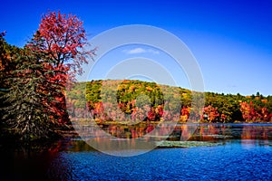 Colors of fall folliage over New Hampshire pond