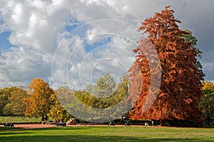 Colors of Fall season around the city park