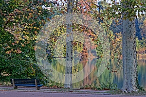 An alley along the lake in the city park photo