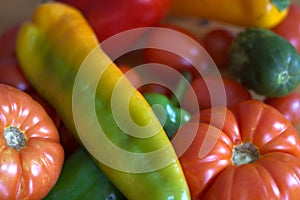 The colors of fresh vegetables