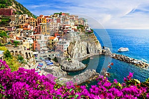 Colors of Italy series -Manarola village , Cinque terre