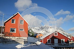 Colors of Lofoten