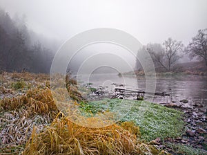 Colors of November, foggy river bank with a frosted grass