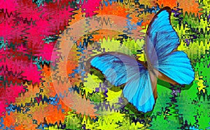 Colors of rainbow. blue tropical morpho butterfly on a blurred multicolored background.