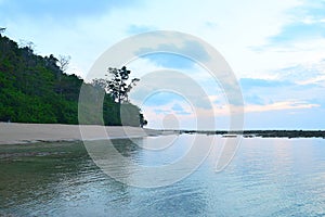 Colors before Sunrise in Morning Blue Sky with Silhouettes of Trees at Serene Shore of Water Body - Natural Landscape