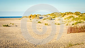 The sun is setting on the beach of Schiermonnikoog Friesland, Netherlands photo