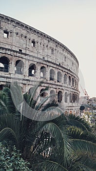 Coloseum