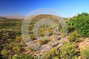 Colossal Cave Mountain Park View