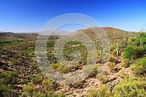 Colossal Cave Mountain Park View