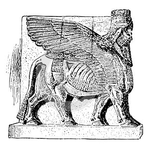 Colossal Man-Beast from the Palace of Sargon, vintage engraving