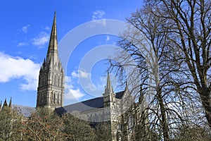 Colossal Salisbury Cathedral on a clear day