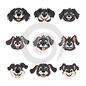 Colossal set of cleverly faces of mutts. Cartoon style, Vector Illustration