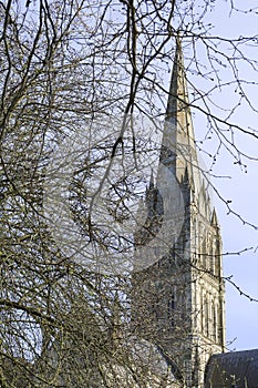 Colossal Spire of the Salisbury Cathedral